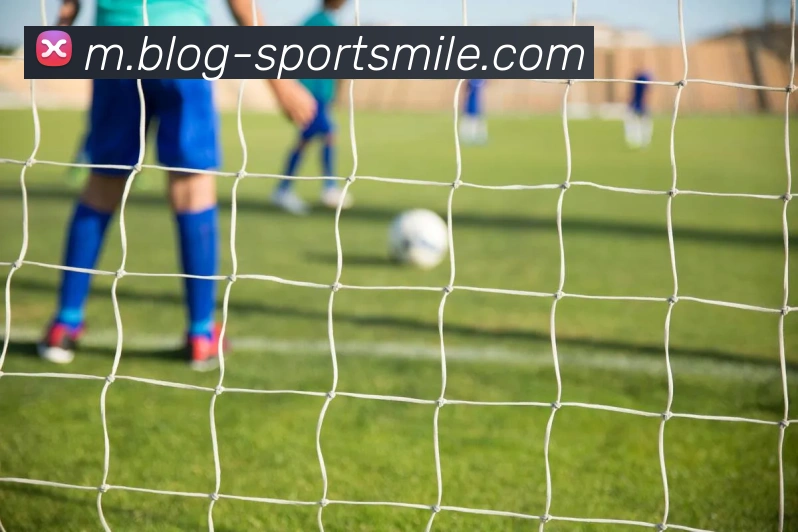 米乐体育APP 封面图